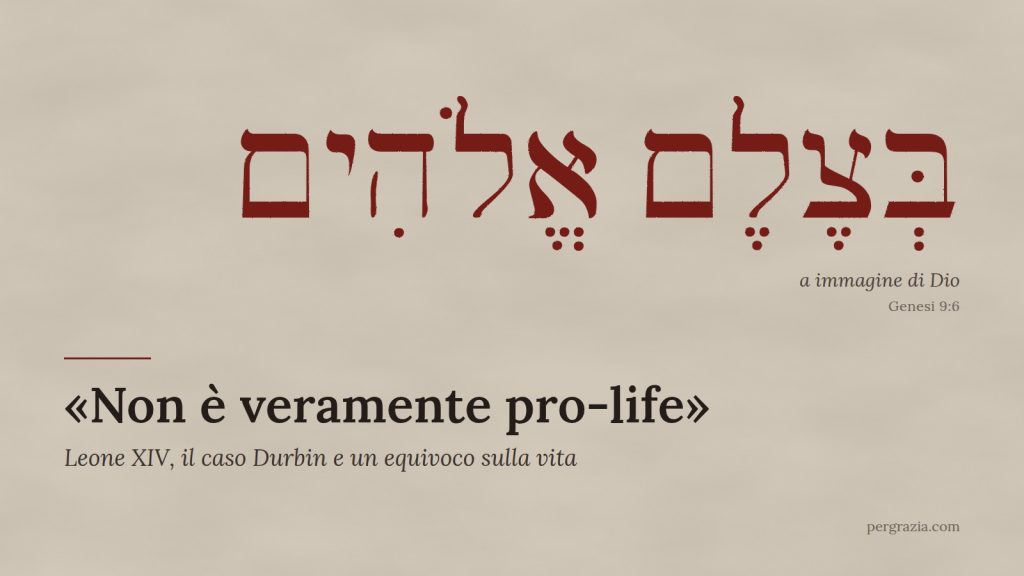 Papa Leone Pro Life
