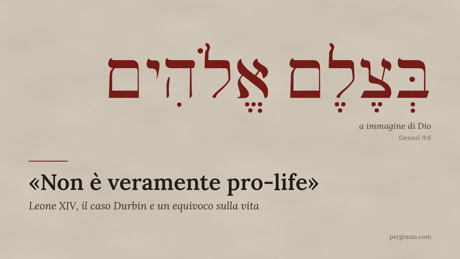 Papa Leone Pro Life